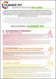 Seven steps to net zero