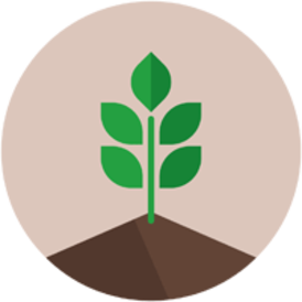 Soil icon