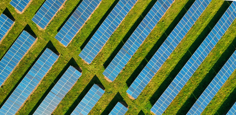 Solar farm panels