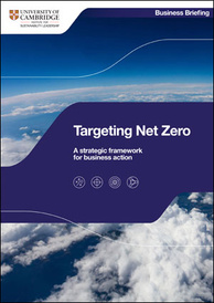 Strategic framework