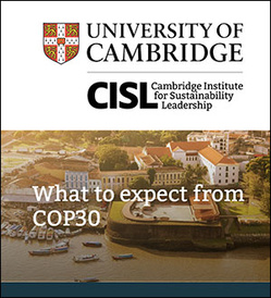 Download the report What to expect from COP30