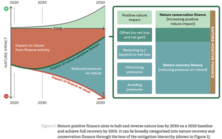 Scaling Finance for Nature: Barrier Breakdown