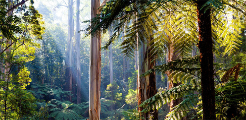 Raising the ambition for nature