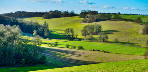 Rolling green fields