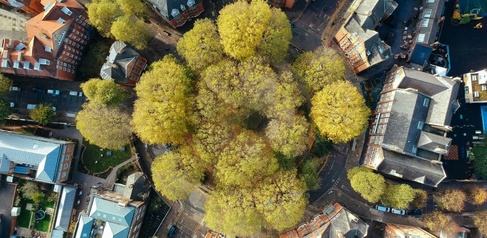 Aerial view of roundabout covered in trees with roads at different angles