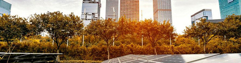 Sustainable Finance