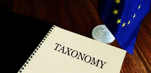 taxonomy