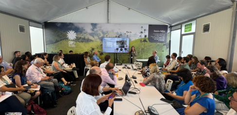 CISL COP16 events