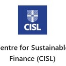 Centre for Sustainable Finance LinkedIn