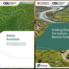 Two CISL reports: Better business: Re-thinking business models for nature positive outcomes; and Scaling finance for nature: Barrier breakdown