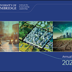 CISL annual review 2025 cover