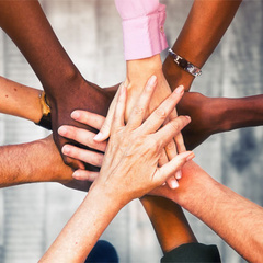 Equality Action Plan 