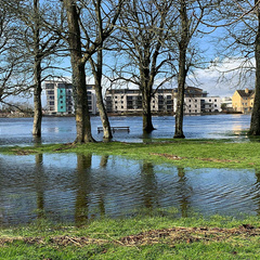 flooded parkland