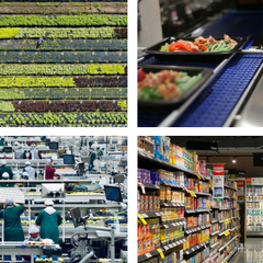 Collage of the food system, workers on a farm, food production chain, food waste and distribution (supermarket)