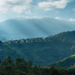 Forest and mountains in Colombia with sun shining through clouds