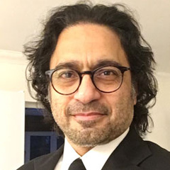 Professor  Sudhanshu Palsule