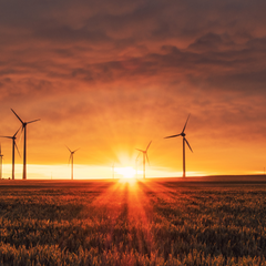 Wind turbines at sunset. Image by Karsten Wuerth (unsplash)