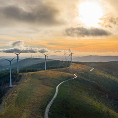 Net zero underwriting