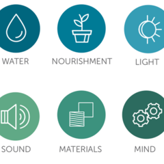 principles for health and wellbeing