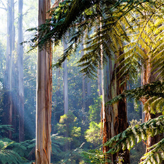 Raising the ambition for nature