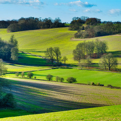 Rolling green fields