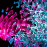 Random burst of colours