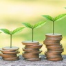 Stacks of coins with growing green seedlings arranged in ascending order, symbolising sustainable finance, green investment, and long-term value creation.