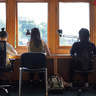 Five people sit at a long shared desk working on laptops in a bright workspace with large windows and trees visible outside.