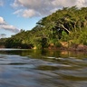 River flowing through forest in Belize