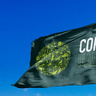 COP28 Flag