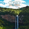 COP30 Amazonia logo and image of waterfall and dramatic forested hillside