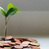 sustainable future