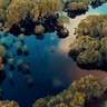 how can businesses overcome financial barriers to investing in nature-based solutions