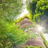 Restoring Human Progress blog