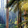 Raising the ambition for nature