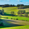 Rolling green fields
