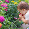 Mother Nature: sharpening our mind to the challenge ahead 