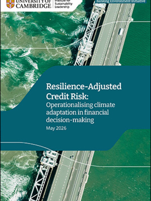 resilience-adjusted_credit_risk_cover