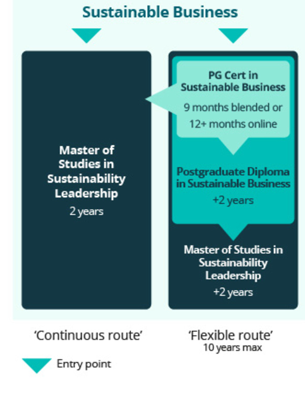 Flexible route graphic showing the pathways of studying
