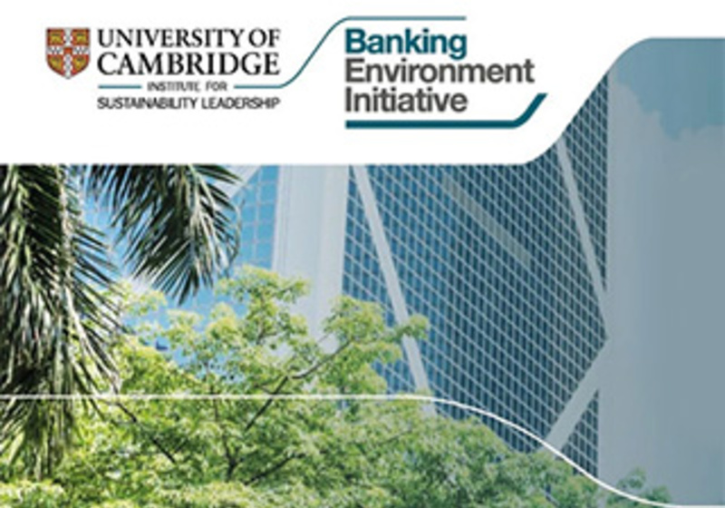 Promotional graphic featuring the “University of Cambridge Institute for Sustainability Leadership” and “Banking Environment Initiative” logos over a backdrop of a modern glass building partially obscured by green trees and palm leaves, suggesting a link between sustainable finance and environmental leadership.
