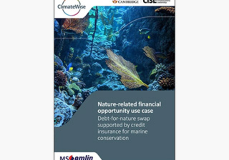 Nature-related financial opportunity use case: Debt-for-nature swap supported by credit insurance for marine conservation