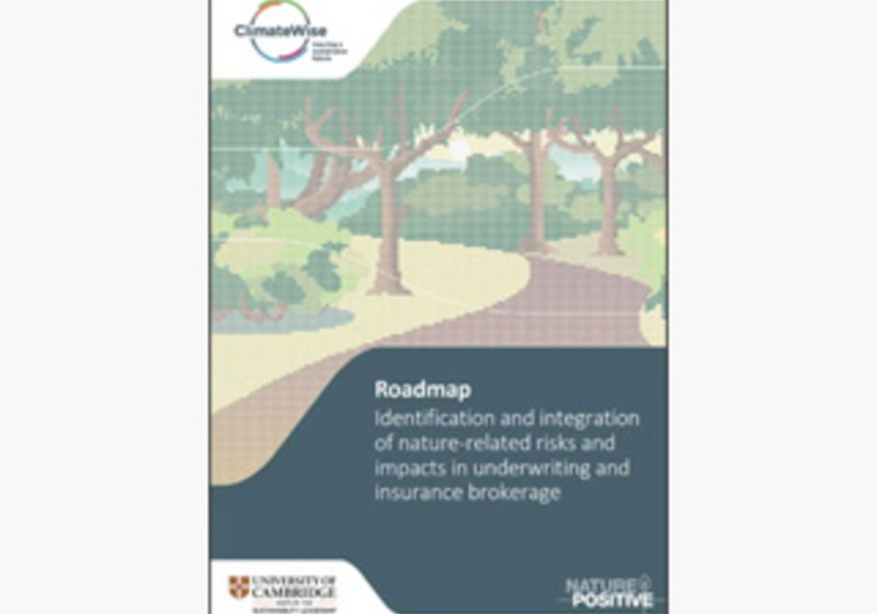 Identification and integration of nature-related risks and impacts in underwriting and insurance brokerage