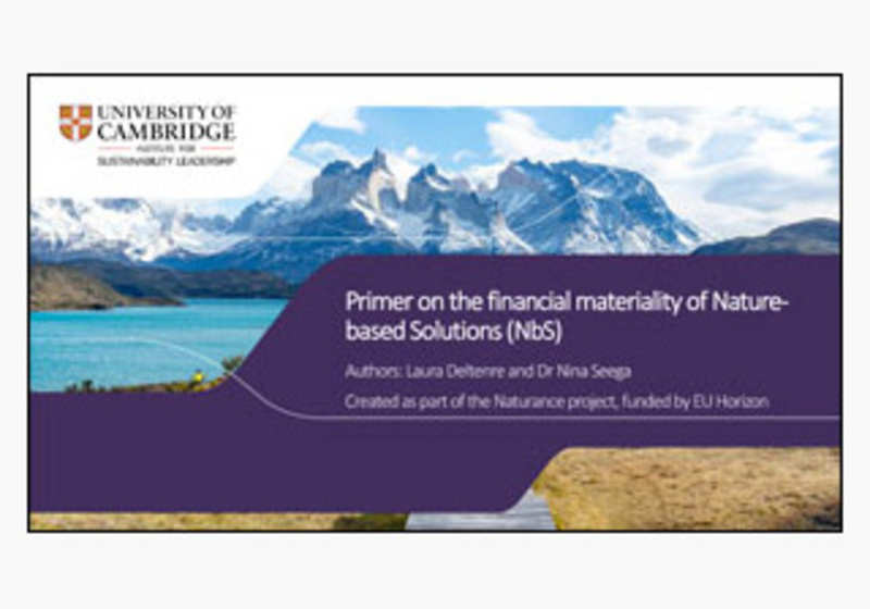 Primer on the financial materiality of Nature-based Solutions