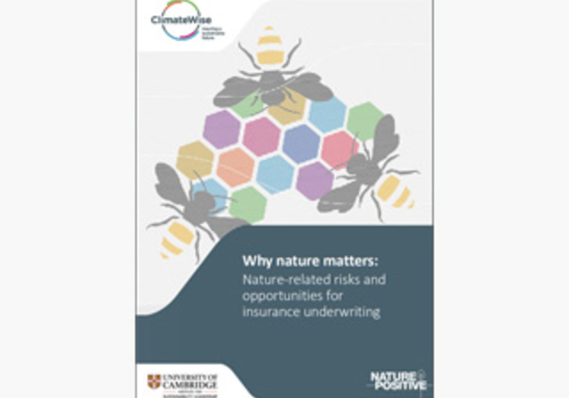 Nature-related risks and opportunities for insurance underwriting