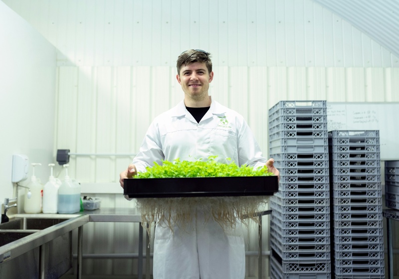 Male design engineer with crop grown in sustainable indoor farm