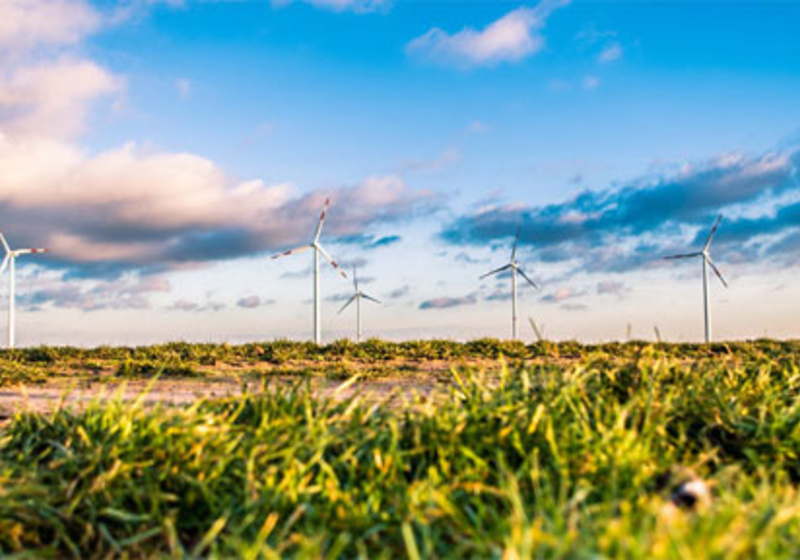 Sustainability Practitioner Programme