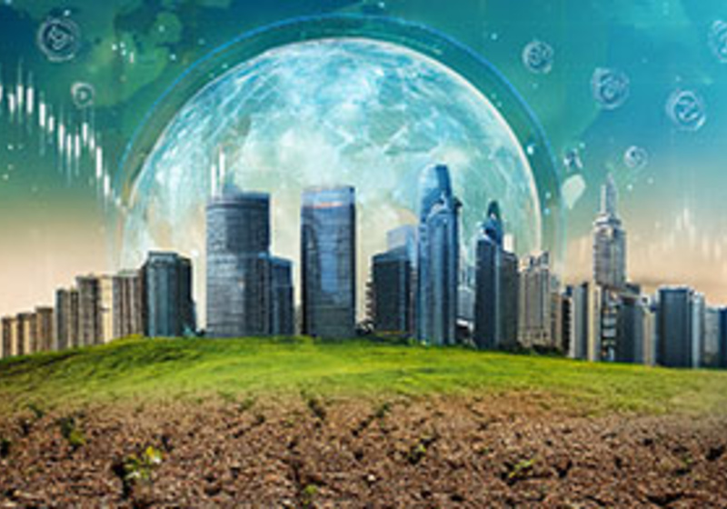 Rewiring Finance: We work with financial institutions to enable the system to mobilise capital and manage risk in support of a sustainable, resilient economy.