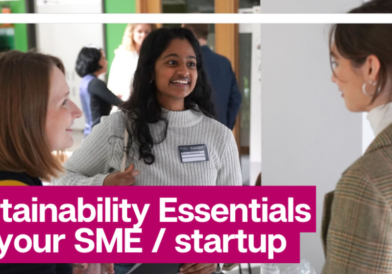 Sustainability Essentials for your Startup