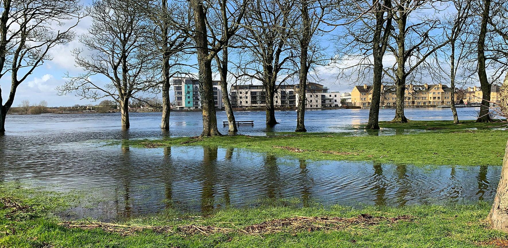 flooded parkland