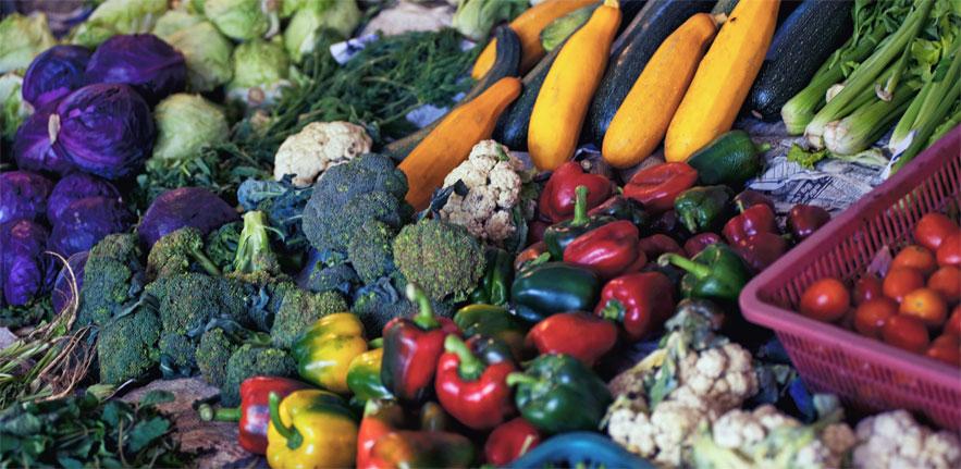 The modern food system